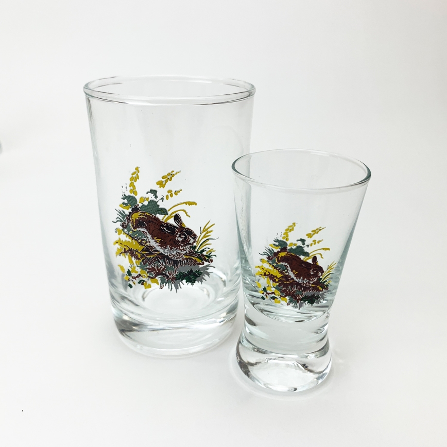 Set 6x Größeres Glas und 6x Kleineres Glas für Shots klar mit Tiermotiven