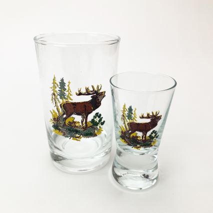 Set 6x Größeres Glas und 6x Kleineres Glas für Shots klar mit Tiermotiven