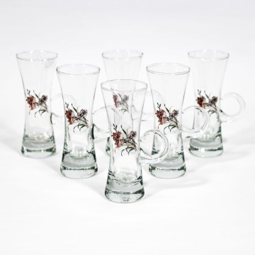 Set 6x Likörglas mit Stiel klar mit Blumenstrauß-Motiv