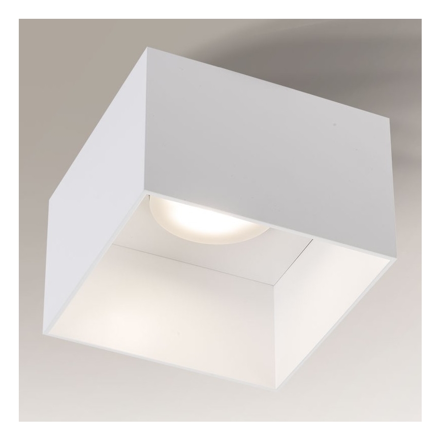 Shilo - Deckenleuchte 1xGX53/15W/230V weiß
