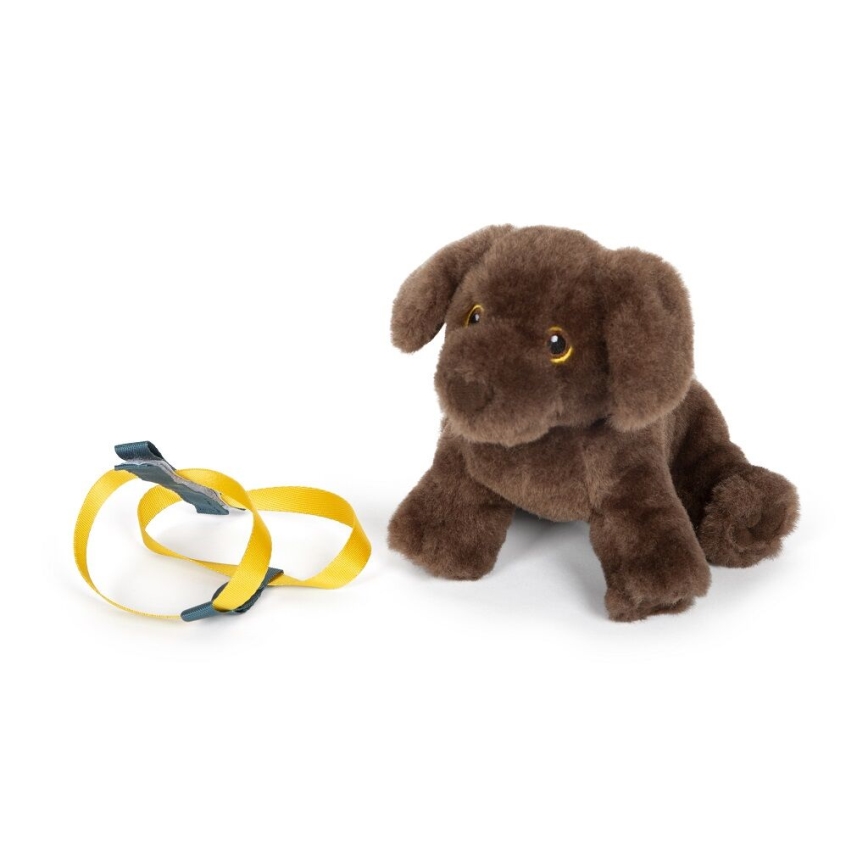 Small Foot - Plüschhund mit Pflege-Kit