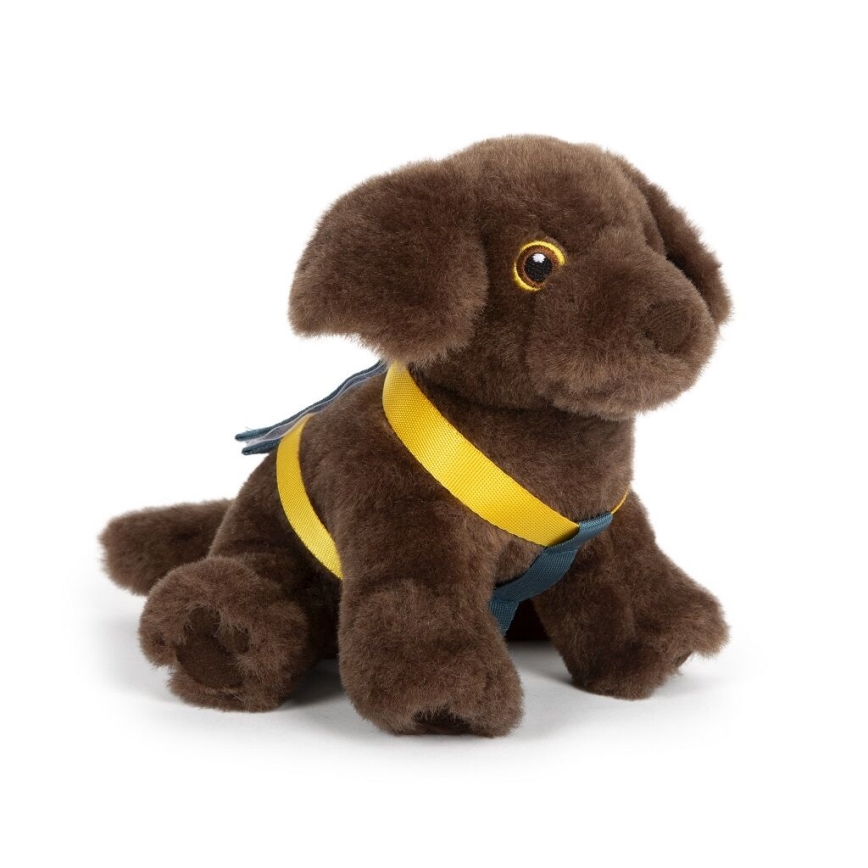 Small Foot - Plüschhund mit Pflege-Kit