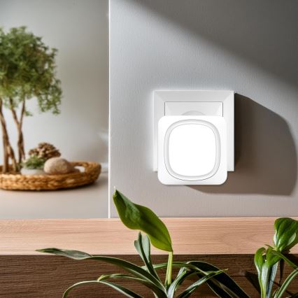 Kabellose Steckdosen-Türklingel mit LED-Beleuchtung 230V IP56 weiß