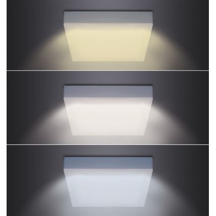 LED Deckenleuchte LED/12W/230V 3000/4000/6000K 17x17 cm weiß