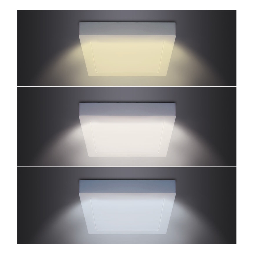 LED-Deckenleuchte LED/18W/230V 3000/4000/6000K 22,5x22,5 cm weiß