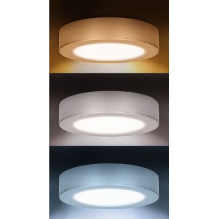 LED-Deckenpanel 2-in-1 (Aufputz-/Einbau-Panel), 12 W, 230 V, 3000/4000/6000 K, Ø17 cm, IP54, silber