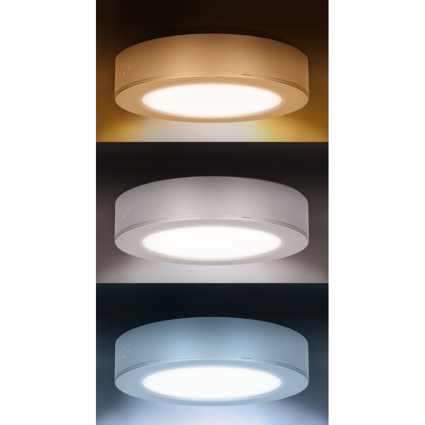 LED-Aufputz-/Einbaupanel 2-in-1 LED/12W/230V 3000/4000/6000K Ø17cm IP54 weiß