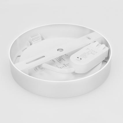 LED-Aufputz-/Einbaupanel 2-in-1 LED/12W/230V 3000/4000/6000K Ø17cm IP54 weiß