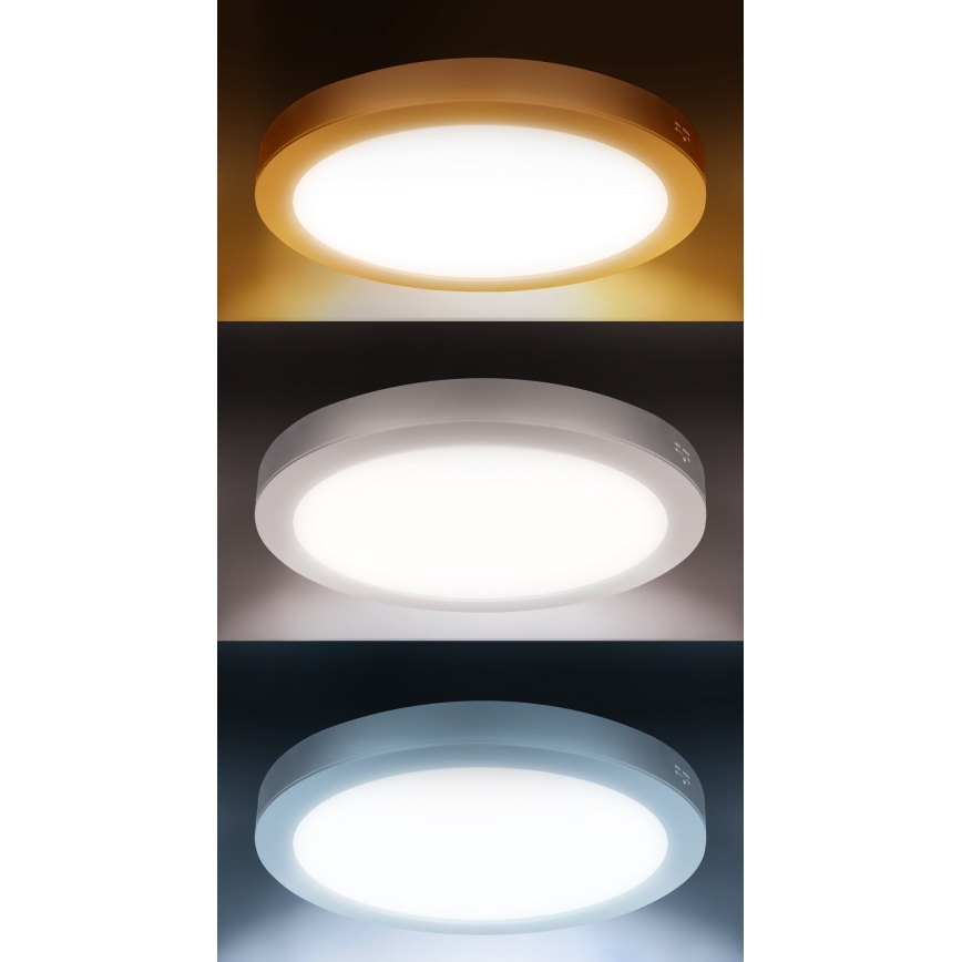 LED-Deckenpanel 2-in-1 Aufputz/Einbau 18W/230V 3000/4000/6000K Ø 22,5 cm IP54 Weiß