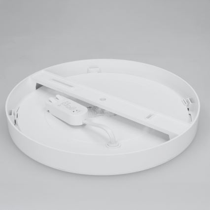 LED Aufbau-/Einbau-Panel 2-in-1 24 W / 230 V 3000/4000/6000 K Ø 30 cm IP54 weiß