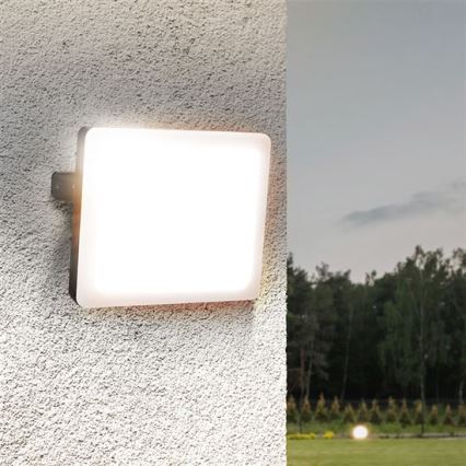 Outdoor-LED-Strahler LED/30W/230V 4000K IP65