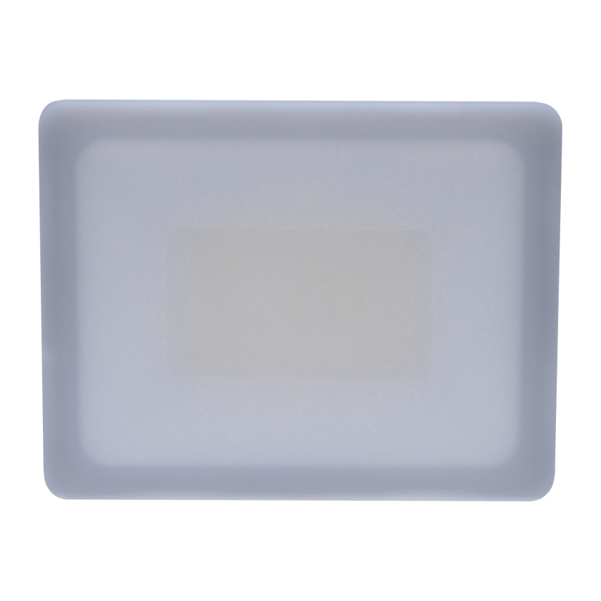 Outdoor-LED-Strahler LED/30W/230V 4000K IP65