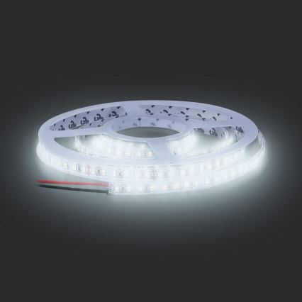 LED Streifen LED/50W/12V 5m kaltweiß