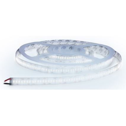 LED-Streifen LED/80W/12V 5m kaltweiß