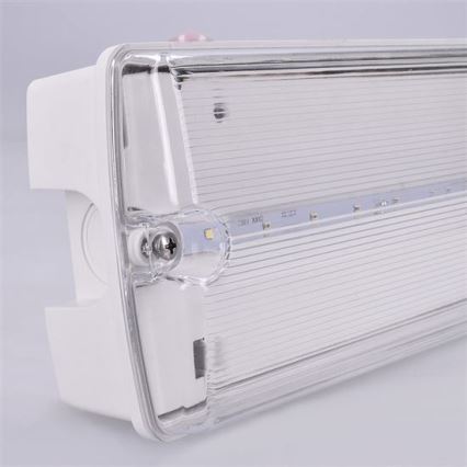 LED-Notleuchte LED/6W/230V IP65 6500K