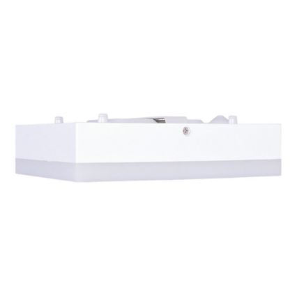 LED Badezimmer Deckenleuchte LED/15W/230V 22x22 cm
