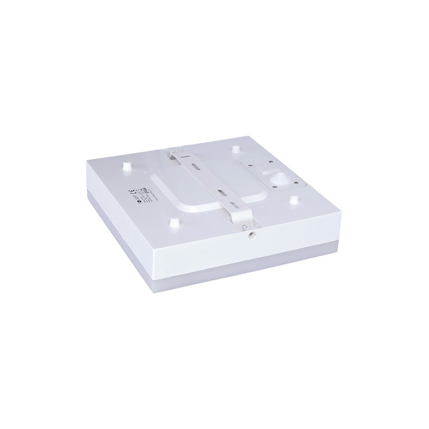 LED Badezimmer Deckenleuchte LED/15W/230V 22x22 cm