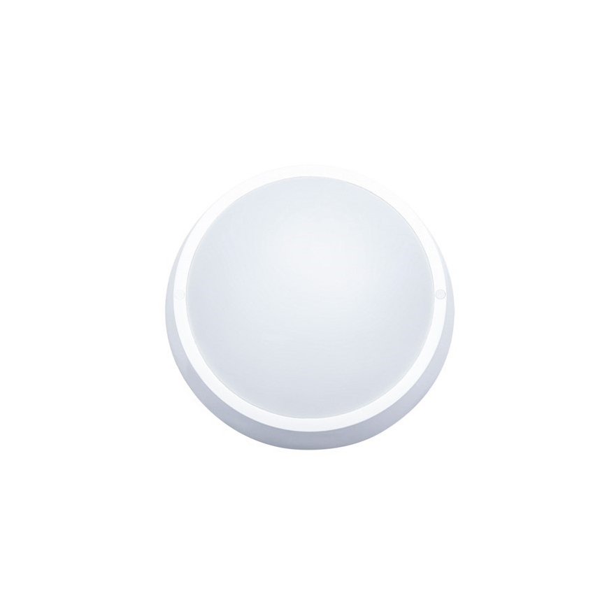 LED-Außendeckenleuchte 1xLED/18W/230V  IP65