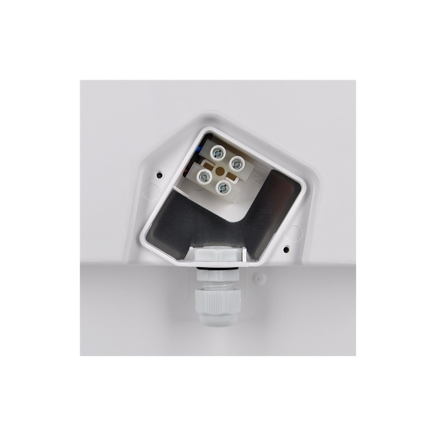 LED-Außendeckenleuchte 1xLED/18W/230V  IP65
