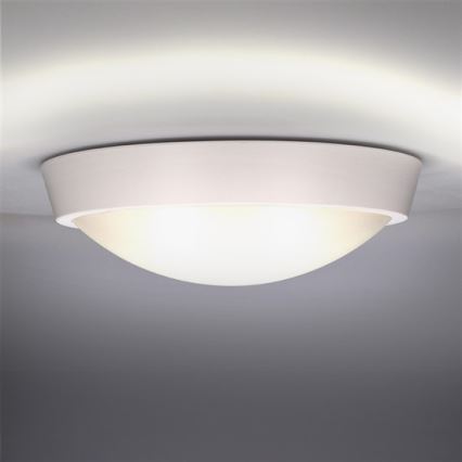 LED-Außendeckenleuchte 1xLED/18W/230V  IP65