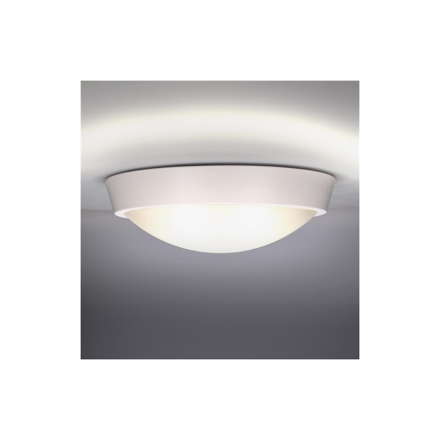 LED-Außendeckenleuchte 1xLED/18W/230V  IP65