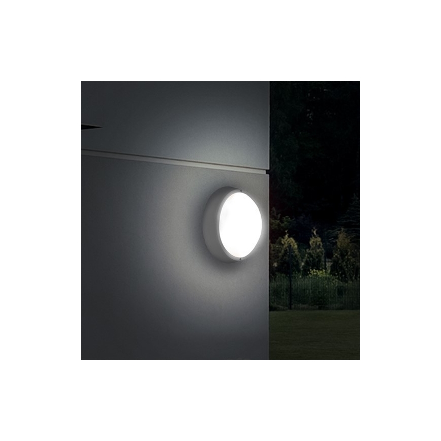 LED-Außendeckenleuchte 1xLED/18W/230V  IP65