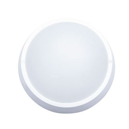 LED-Außen-Deckenleuchte LED/30W/230V IP65