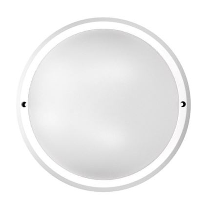 LED-Außendeckenleuchte 1xLED/30W/230V  IP65