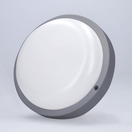 LED-Wandleuchte für Außenbereiche LED/20W/230V 4000K IP54 grau rund
