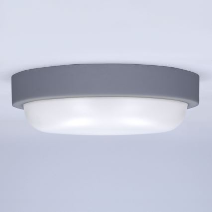 LED-Wandleuchte für Außenbereiche LED/20W/230V 4000K IP54 grau rund