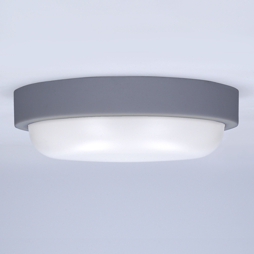 LED-Wandleuchte für Außenbereiche LED/20W/230V 4000K IP54 grau rund