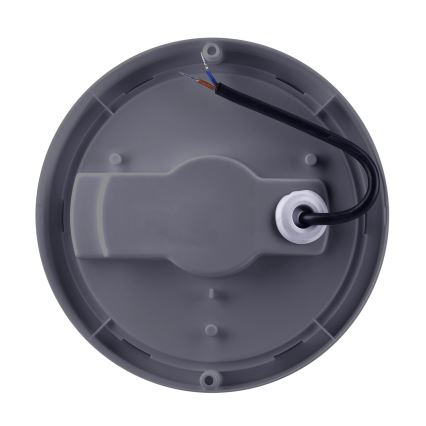 LED-Wandleuchte für Außenbereiche LED/20W/230V 4000K IP54 grau rund