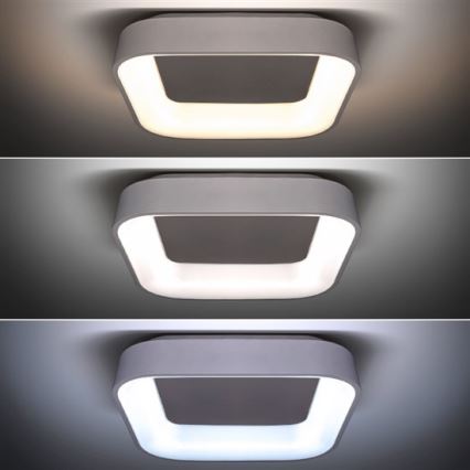 LED Dimmbare Deckenleuchte LED/48W/230V + Fernbedienung