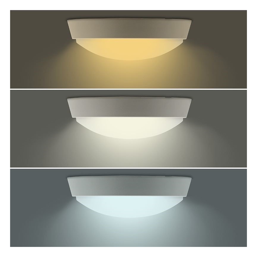 LED-Außenleuchte dimmbar 2in1 LED/12W/230V IP54