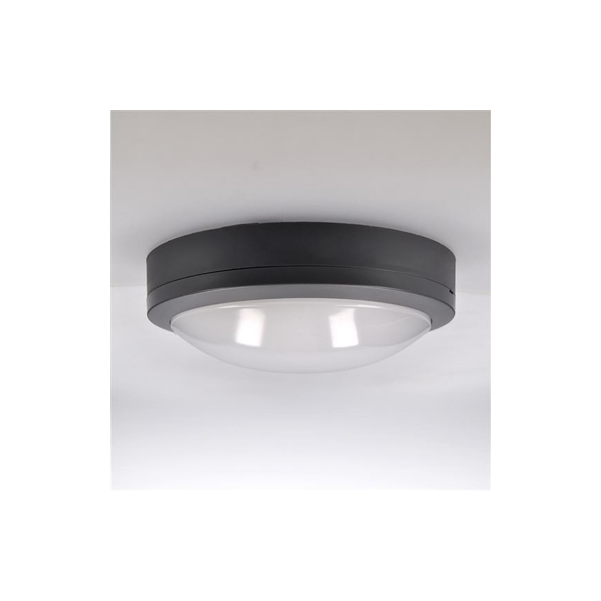 LED-Deckenleuchte für den Außenbereich mit Sensor SIENA LED/20W/230V 4000K d 23 cm IP54