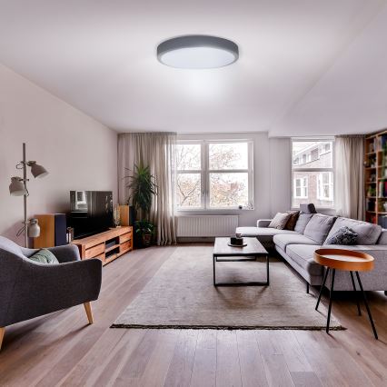 Dimmbare LED-Deckenleuchte GREY LED/48W/230V 3000-6500K grau d 38 cm + Fernbedienung