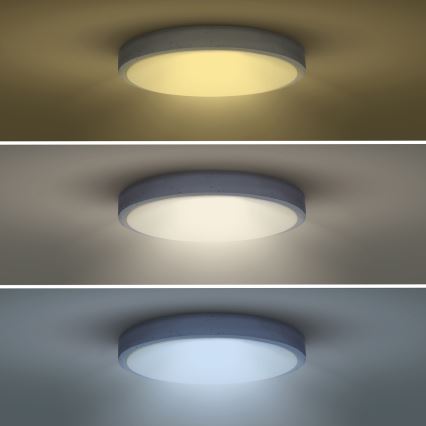 Dimmbare LED-Deckenleuchte GREY LED/48W/230V 3000-6500K grau d 38 cm + Fernbedienung