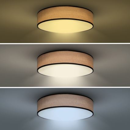 Dimmbare LED-Deckenleuchte BROWNIE LED/48W/230V 3000-6500K braun d 40 cm + Fernbedienung