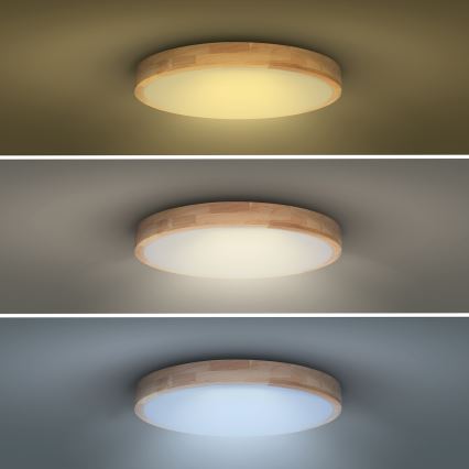 Dimmbare LED-Deckenleuchte SOLID OAK LED/60W/230V 3000-6500K Eiche d 51 cm + Fernbedienung