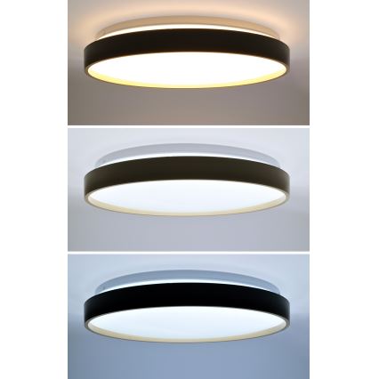 Dimmbare LED-Deckenleuchte CALA LED/48W/230V 3000-6500K schwarz/golden + Fernbedienung