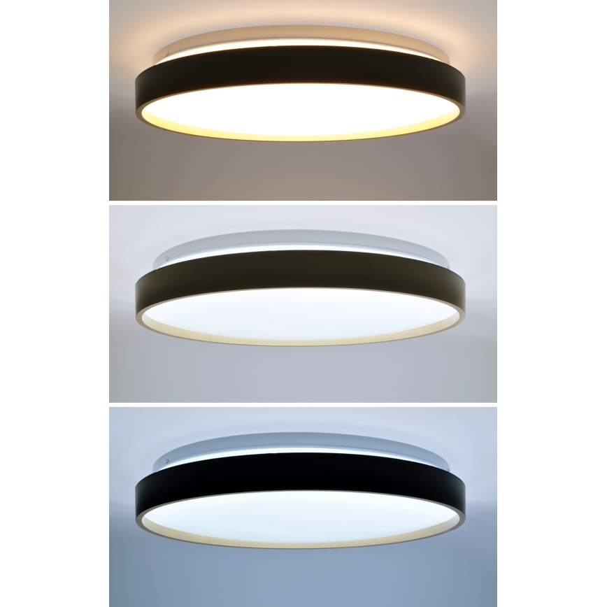 Dimmbare LED-Deckenleuchte CALA LED/48W/230V 3000-6500K schwarz/golden + Fernbedienung