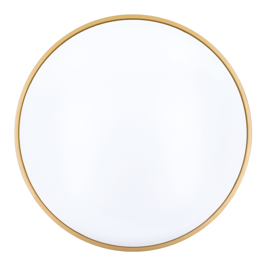 Dimmbare LED-Deckenleuchte CALA LED/48W/230V 3000-6500K schwarz/golden + Fernbedienung