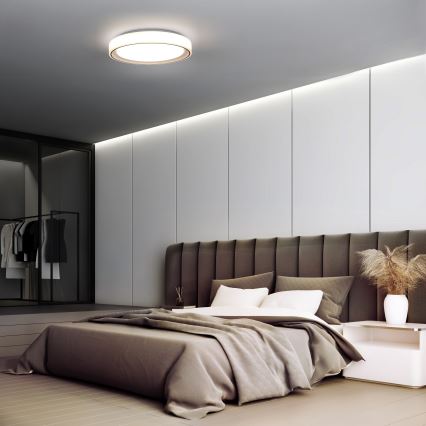 Dimmbare LED-RGB-Deckenleuchte FLOCO LED/30W/230V 3000-6500K + RGB/6W d 40cm + Fernbedienung