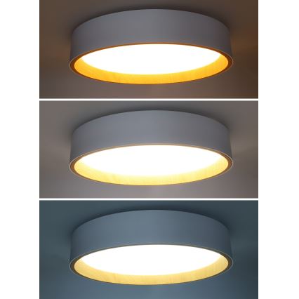 Dimmbare LED-Deckenleuchte LARIOS LED/48W/230V 3000-6500K d 39 cm weiß + Fernbedienung