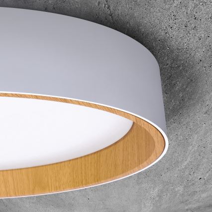 Dimmbare LED-Deckenleuchte LARIOS LED/48W/230V 3000-6500K d 39 cm weiß + Fernbedienung
