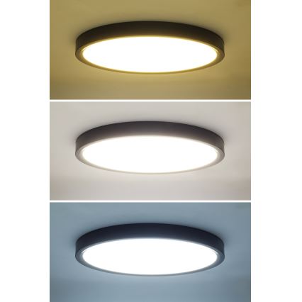 Dimmbare LED-Deckenleuchte ESTELA LED/36W/230V d 30 cm schwarz + Fernbedienung