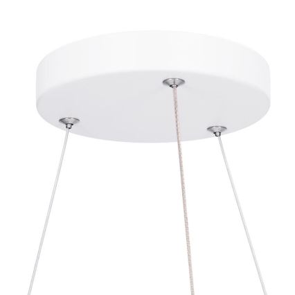 LED-dimmbare Deckenaufbau-/Pendelleuchte LED/50W/230V 3000-6500K + Fernbedienung