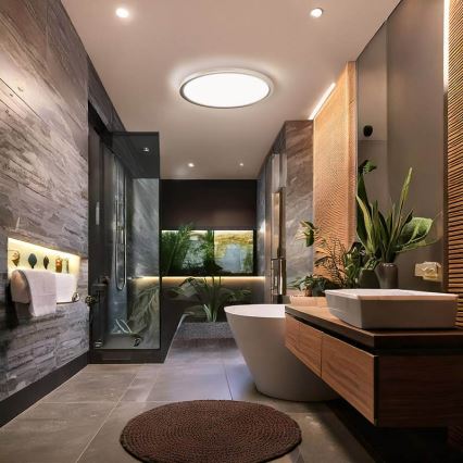 LED-Deckenleuchte für Badezimmer ACATE LED/24W/230V 3000/4000/6000K Ø 29,3 cm IP54