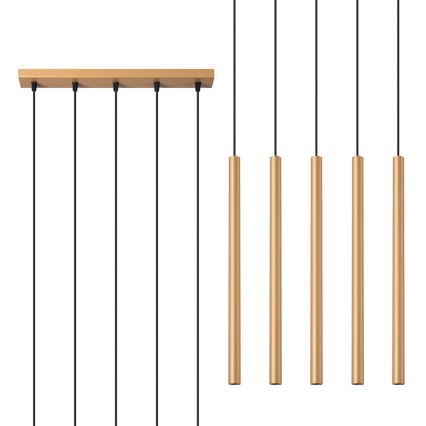 Hängeleuchte an Schnur PASTELO 5xG9/8W/230V golden