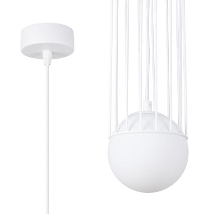 Hängeleuchte an Schnur BRINA 1xG9/8W/230V weiß